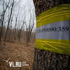 Фото с сайта https://www.newsvl.ru/