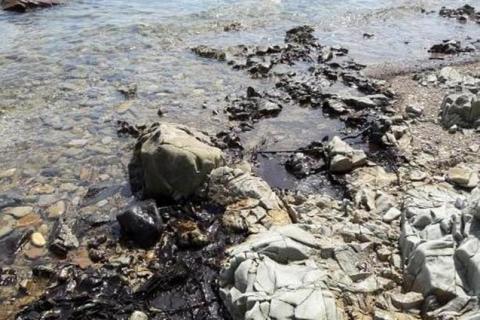 Нефтяным пятном в бухте Горностай во Владивостоке занимается мэрия. Фото: instagram dps.control