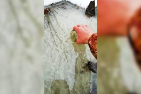 "Дизельные" ручьи в селе Яковлевка. Фото: скриншот видео