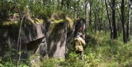 Фото Пресс-службы нацпарка Земля леопарда с сайта http://primamedia.ru/