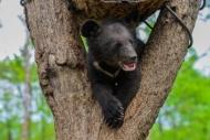 Фото с сайта http://primamedia.ru/